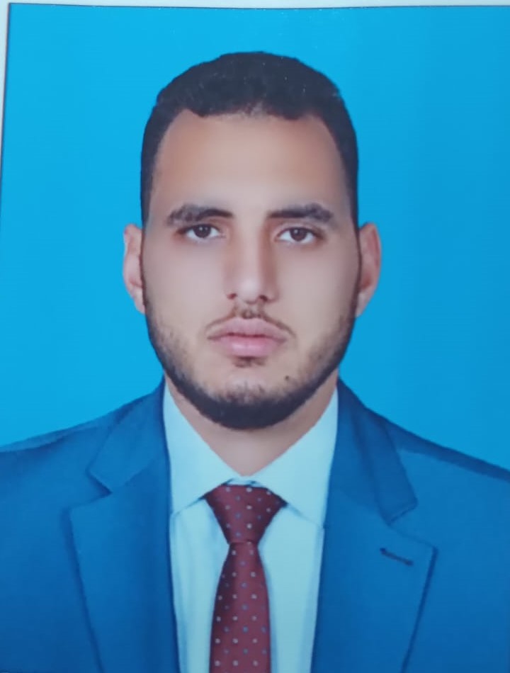 محمد احمد الامير